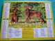 Calendrier 1993 Lavigne  Chien Berger Allemand Setter Irlandais Almanach Facteur PTT POSTE Département Sarthe - Grand Format : 1991-00