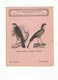 Couverture De Cahier Encyclopédie De L'enfance L'Épervier Commun Le Messager Ou Secrétaire De 1876 - Protège-cahiers