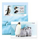 Australia 2022 AAT Penguins Bird Fauna Presentation Pack 4v Stamps + MS MNH (**) - Ungebraucht