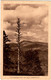 3XF 1O42 CPA - ALSACE - SILBERLOCH AVEC VUE SUR LE GRAND BALLON - Alsace