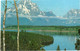 MT. MORAN AND JACKSON LAKE - IDAHO - F.P. - Yellowstone