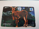 INDONESIA MAGNETIC/TAMURA  140  UNITS /  KAMBING GUNUNG           MAGNETIC   CARD    **9821** - Indonesia