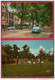 Lot 2 PostCards - Beverwijk - Old Car Cars Voitures OPEL Goat Chevres - Stamp Timbre Netherlands Holland - Beverwijk