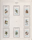 Delcampe - AJMAN - Collection De Timbres Theme Faune Animaux Neufs Et Obliteres - Voir Scan - Adschman