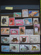 10657 Lot De  TIMBRES CHATS FELINS     TBE  Bon Etat - Big Cats (cats Of Prey)