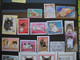 10657 Lot De  TIMBRES CHATS FELINS     TBE  Bon Etat - Felini