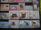 10657 Lot De  TIMBRES CHATS FELINS     TBE  Bon Etat - Felinos