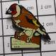 2722 Pin's Pins / Beau Et Rare / THEME : ANIMAUX / OISEAU BOUVREUIL CERCLE ORNITHOLOGIQUE KAIN - Dieren