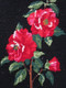 Tapisserie Canevas Roses Rouges Sur Fond Noir Encadré - Rugs, Carpets & Tapestry