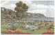 The Pond Abbey Gardens Torquay By A R Quinton Postmark 1954 - Salmon 3239 - Quinton, AR