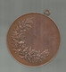 Médaille , SOCIETES COLOMBOPHILES ,non Attribuée , 49 Gr. ,dia . 48 Mm ,frais Fr 3.35 E - Professionnels / De Société