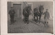 JAUCHE, Carte-photo - Ferme Paheau Avec Charles Paheau Et Frédéric Clairembourg, Mars 1909, Chevaux De Trait - Orp-Jauche