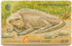 British Virgin Islands - C&W (GPT) - Iguana - 19CBVA - 1994, 30.000ex, Used - Virgin Islands