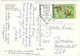 Hungary 1973 Gyula Eurasian Wren Troglodytes Troglodytes Summmer Esperanto University Special Postmark Viewcard - Esperánto