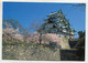 AK 059317 JAPAN - Nagoya Castle - Nagoya