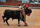 CORRIDA DE TOROS COURSE DE TAUREAUX BULL-FIGHT FEAST "Pase De Pecho Con La Izquierda" ( ͡♥ ͜ʖ ͡♥) ♥ - Corridas