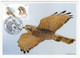 Taiwan 2022 Conservation Of Birds Maximum Card Maxicard Fauna Bird - Unused Stamps