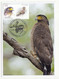 Taiwan 2022 Conservation Of Birds Maximum Card Maxicard Fauna Bird - Unused Stamps