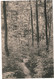 CPA Carte Postale  Belgique-Bruxelles  Forêt De Soignes -Auderghem Vers La Source De L'Empereur VM50689 - Forêts, Parcs, Jardins
