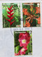 MONTSERRAT 2013, INFORMATION ON ROYAL BABY!!! 3 DIFFERENT FLOWER PLANS STAMPS COVER TO INDIA - Montserrat