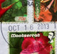 MONTSERRAT 2013, INFORMATION ON ROYAL BABY!!! 3 DIFFERENT FLOWER PLANS STAMPS COVER TO INDIA - Montserrat