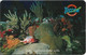 St. Eustatius (Antilles Netherlands) - Teccom (Chip) - Statia's Pristine Coral Reefs, 2000, 10$, Used - Antilles (Netherlands)