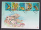 SOUTH AFRICA - 2001 Marine Life Large FDC X 2 As Scans - Lettres & Documents