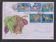 SOUTH AFRICA - 2001 Bats Large FDC X 2 As Scans - Briefe U. Dokumente