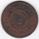 John Knapp Junior "vigornia 'Worcester Half Penny Token 1813, En Cuivre - Monedas/ De Necesidad