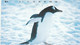 TELECARTE ETRANGERE....PINGOUIN. - Pingouins & Manchots