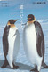TELECARTE ETRANGERE....PINGOUINS - Pinguïns & Vetganzen