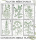 Belg. 2022 - Plantes Médicinales ** - Ungebraucht