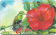 British Virgin Islands - C&W (GPT) - BVI Wild Life - Humming Bird - 67CBVA - 1996, 29.300ex, Used - Vierges (îles)