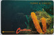 Turks And Caicos US$5, 1CTCB " Orange Tube Sponge   ( Without Logo )" - Turks & Caicos (I. Turques Et Caïques)