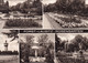 Germany - Postcard Circulated 1970 - Forst(Lausitz) - Rosengarten - Collage Of Images -2/scans - Forst