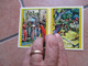 1965 ROBIN HOOD Scene Grafica MIGNANI Bologna - Petit Format : 1961-70