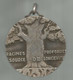 Médaille, Racines Profondes, Source De Longévité , Don De Drago, Alpes Maritimes , à Son Doyen , 2 Scans, Frais Fr 5.95e - Autres & Non Classés