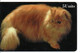 Chat Cat Katze Télécarte édition Limitée  Phonecard ( D 794) - Collezioni