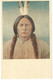 CPA , USA., N°14317- B, Nebraska State Historical  Society , Lincoln , Sitting Bull Ed. Dunlop - Lincoln