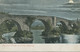 GB „GLASGOW No.1“ Columbia Machine Postmark On Very Fine Coloured Postcard (Moonshine Postcard: The Old Bridge Of Forth, - Scozia