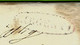 1843 LETTRE OFFICIELLE  ENTETE  TRIBUNAL DE  GIRGENTI  (AGRIGENTE) Sicile Pour Campobello  SICILE - 1. ...-1850 Prephilately