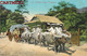 PHILIPPINES CARABAO TRAIN CART BUFFLE ATTELAGE PILIPINAS FILIPINAS MANILLA MANILLE FILIPINO MANILA ASIA - Philippines