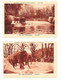 Cpa, Lot 2 Photos,  2 Scannes Plus Verso Publicité "jean Bart", Parc Zoologique, Eléphants, Belle Carte - Elefantes