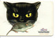 Chat Cat Katze Télécarte Grèce Lanirat Phonecard ( D 823) - Grèce