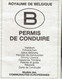 Belgique : Ancien Permis De Conduire Délivré Le 16 Mars 1989 à Quévy (Givry) Au Nom De Lepage Marcel - Historical Documents