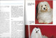 Livre Sur Les Chiens De Catherine Baziret - Les Bichons - Editions De Vecchi 1990 - Dieren