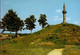 LES LUCS-SUR-BOULOGNE   ( VENDEE )    STATUE DE NOTRE-DAME DES MARTYRS SITUEE PRES DE LA CHAPELLE DU PETIT LUC - Les Lucs Sur Boulogne