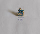 Federazione Sammarinese Nuoto San Marino Swimming Federation Association Union PIN A8/10 - Swimming