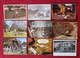 31 Cartes - Ferme Agricole - Agriculteur -Basse Cour - Poules, Coqs, Canards - Poule, Coq, Canard, Volaille, Elevage - Viehzucht