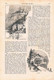 A102 1144 Achleitner Grubhofer Südtirol Etschtal Burgen Artikel / Bilder 1893 !! - Andere & Zonder Classificatie